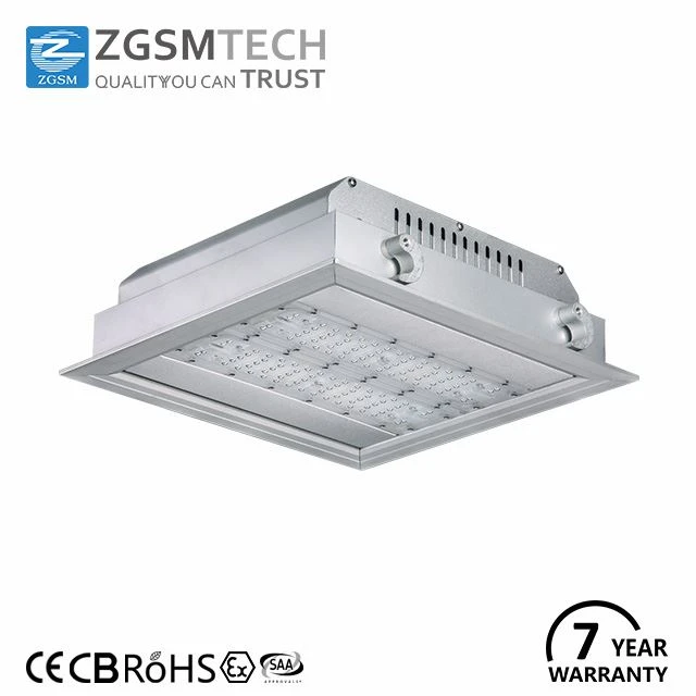 ZGSM LED Canopy Light