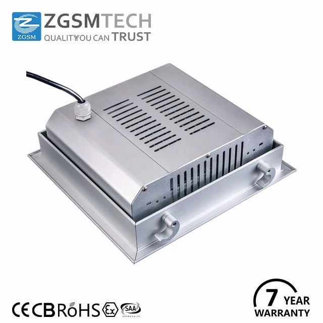 ZGSM LED Canopy Light