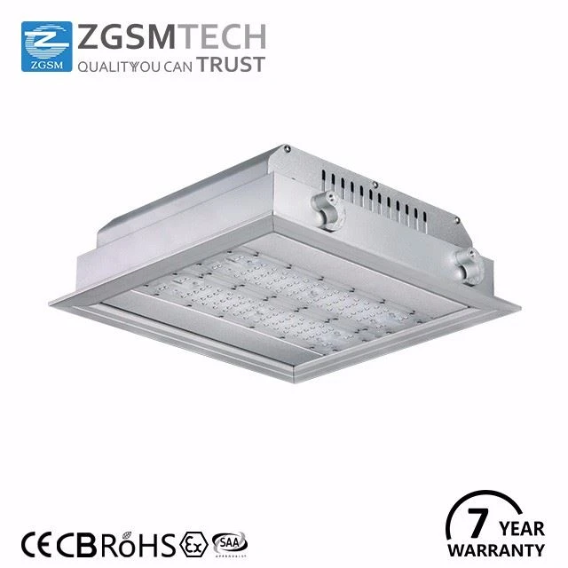 ZGSM LED Canopy Light