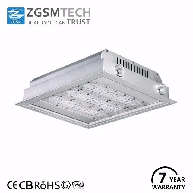 ZGSM LED Canopy Light